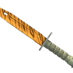 CS2/ 바조넷  | 타이거잔