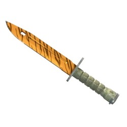 CS2/ 바조넷  | 타이거잔